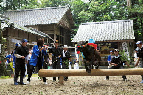 牛越祭り