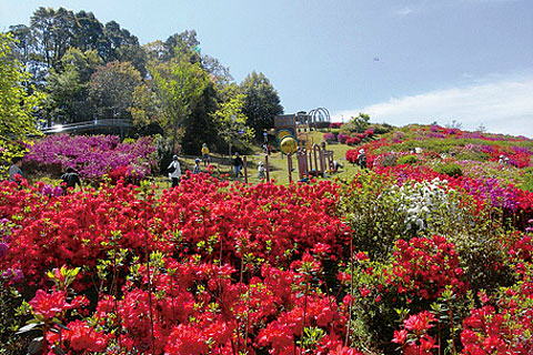 花立公園