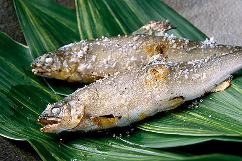 鮎の塩焼き