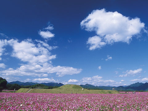 西都原古墳群
