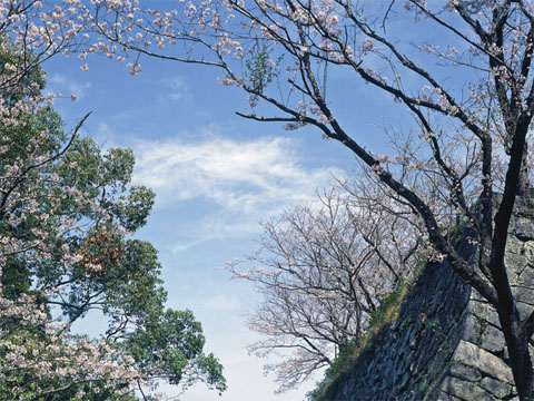 城山公園
